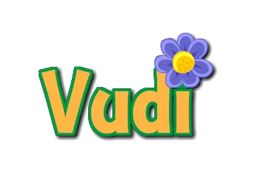vudi.com
